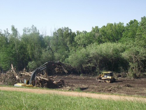 Clearing the Levee